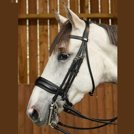 Kandar bred nosgrimma WO