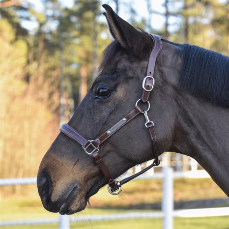 Lädergrimma silver