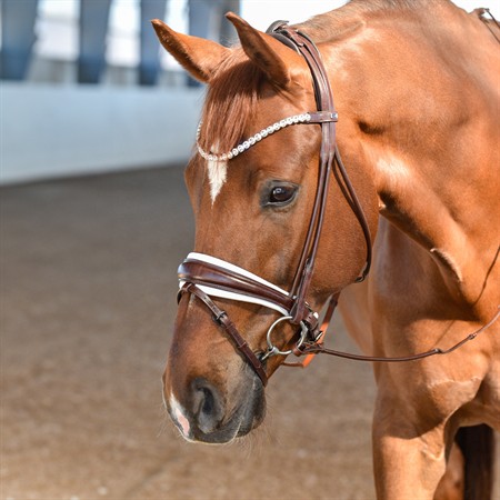 Bella rundsytt dressyrträns m vit padding