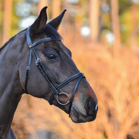 Wynswood träns komb nosgrimma silver