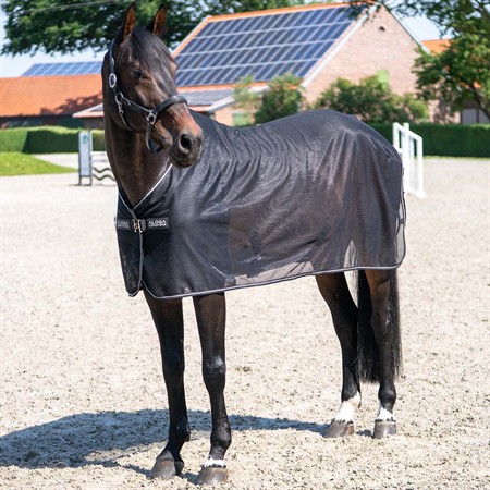Aloga Show Net cooler