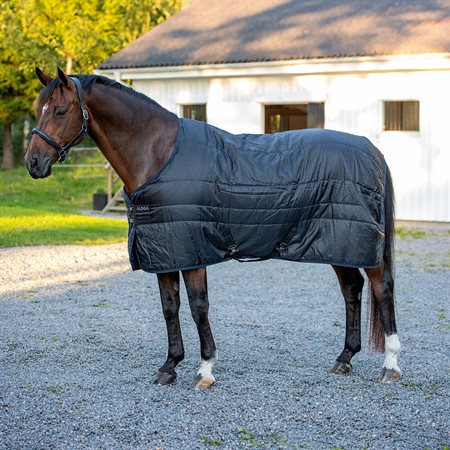 Aloga Stable 2.0 150g