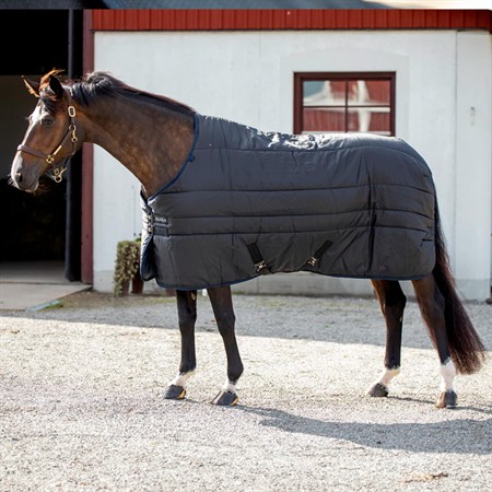 Aloga Stable 2.0 300g