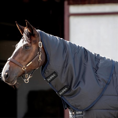 Aloga Stable 2.0 Hood