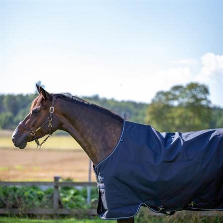 Aloga Turnout 2.0 150g