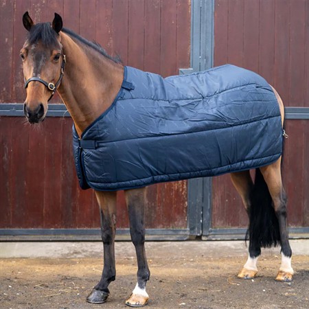 Aloga Pony Liner 100g