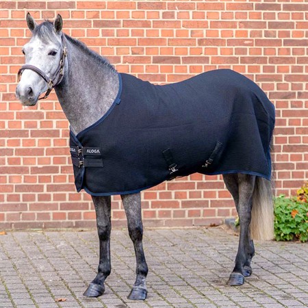 Aloga Pony Waffle cooler