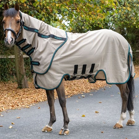 Aloga Pony Sweet Itch Sheet