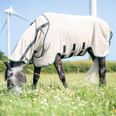 Aloga Sweet Itch Sheet