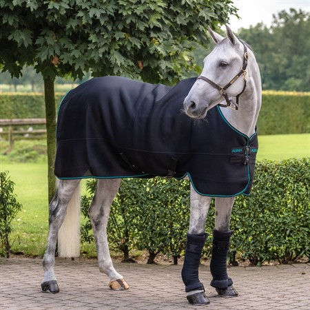 Aloga Pro Mesh Cooler