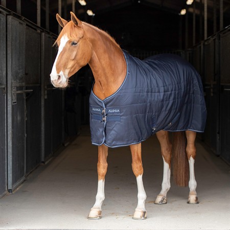 Aloga Pro Stable 100g