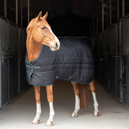 Aloga Pro Stable 200g