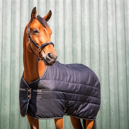 Aloga Pro Stable 400g