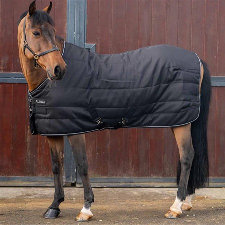 Aloga Pony Pro Stable 0g