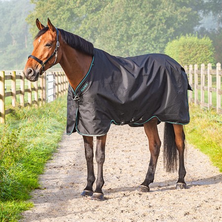 Aloga Pro Turnout 0g