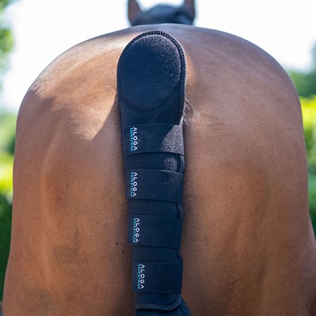 Aloga Pro Tail Guard Black